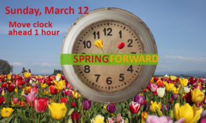 daylight-savings-spring-2017[fusion_builder_container hundred_percent=