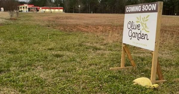 Olive Garden Coming To Cartersville Ga - mydesignerhotel